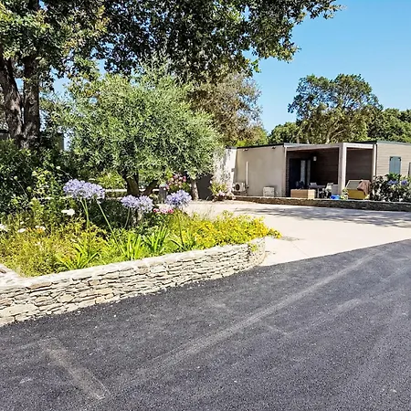 Premium 5p By Interhome Santa-Maria-Poggio (Corsica)