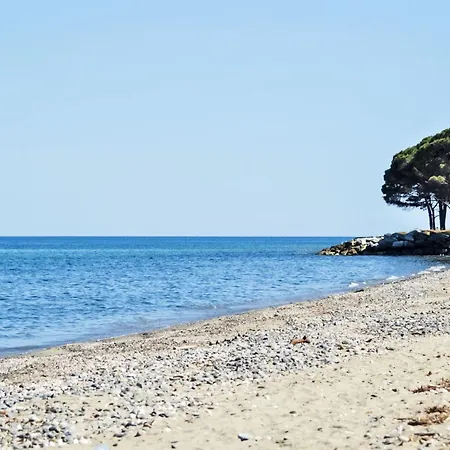 Premium 5p By Interhome Ferienhaus Santa-Maria-Poggio (Corsica)