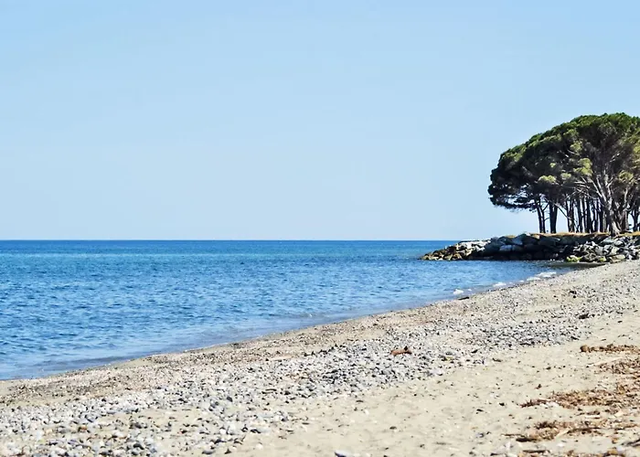 Premium 5p By Interhome 펜션 Santa-Maria-Poggio (Corsica)